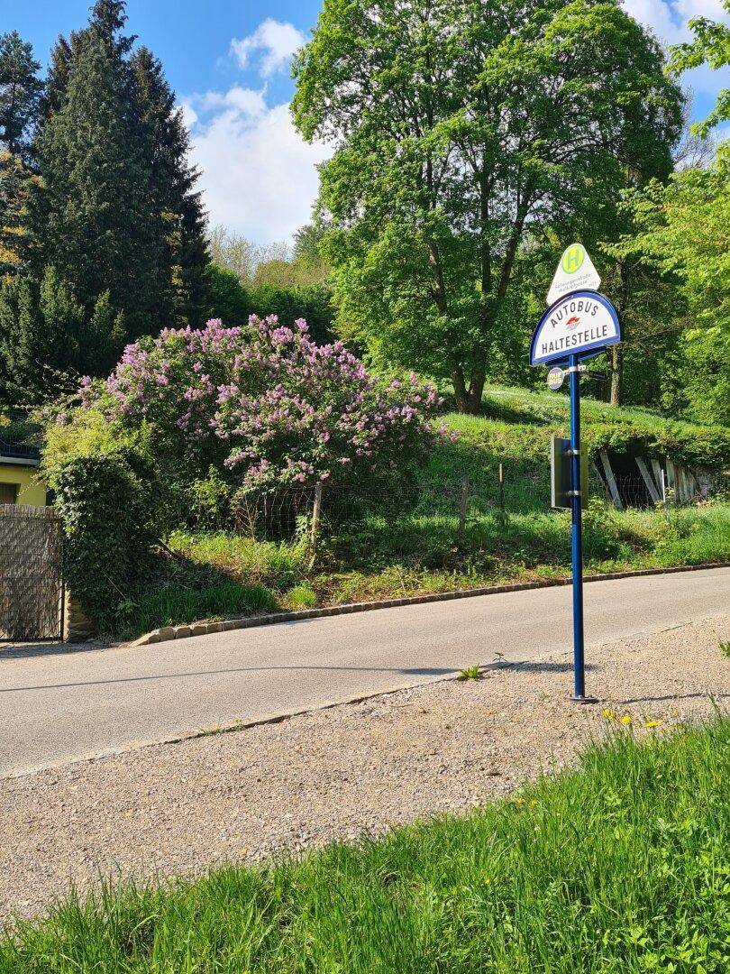 Bushaltestelle an einer Landstraße umgeben von üppigem Grün und blühenden Sträuchern.