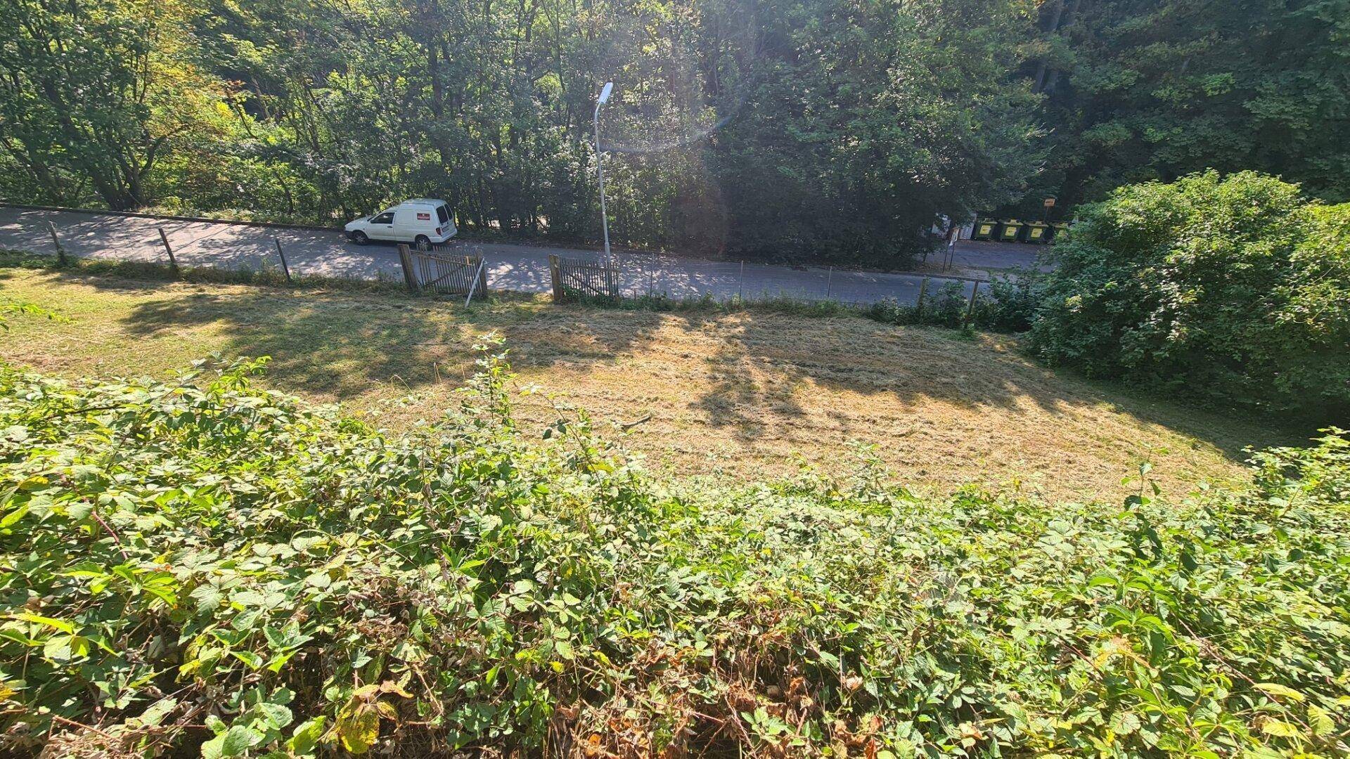 Blick von oben auf eine Straße mit einem weißen Lieferwagen und einer bewachsenen Böschung.