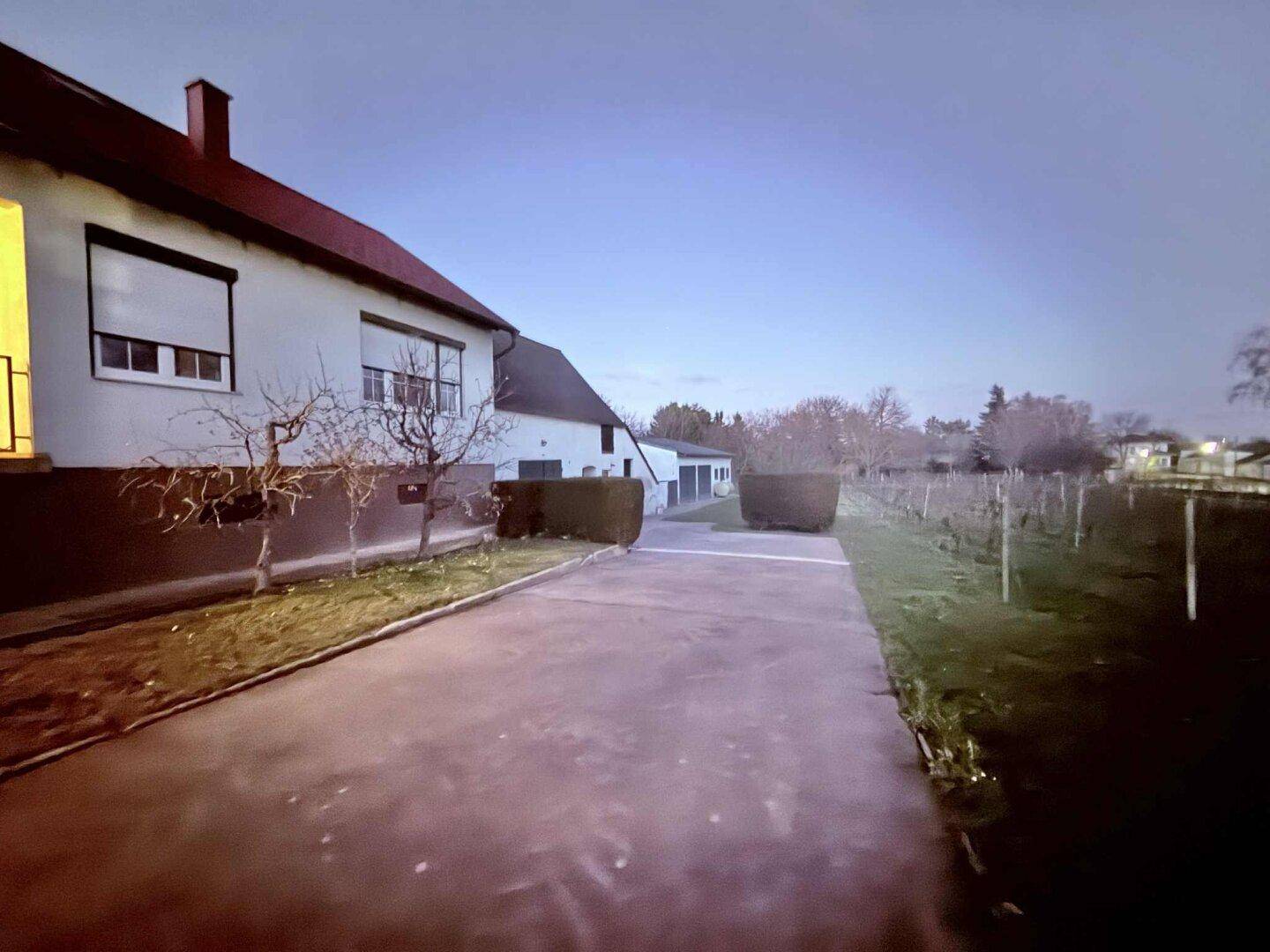 Seitenansicht des Hauses mit Zufahrt und Blick auf angrenzende Weinreben bei Dämmerung.