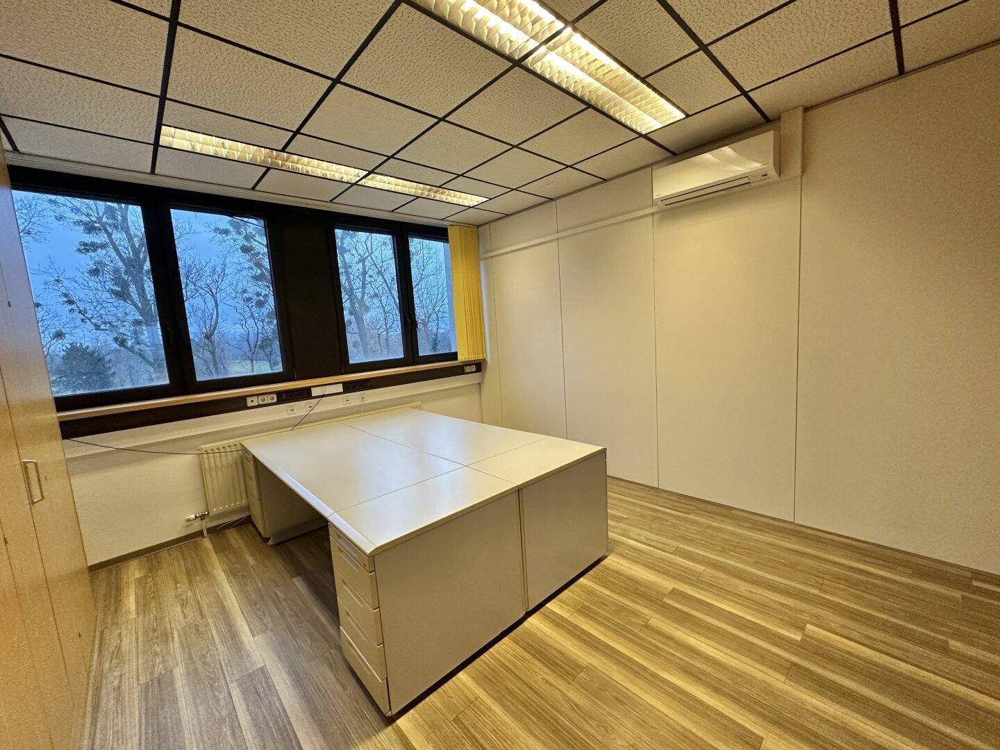 Büro mit einem großen Schreibtisch, Laminatboden und Blick auf die Bäume durch die Fenster.