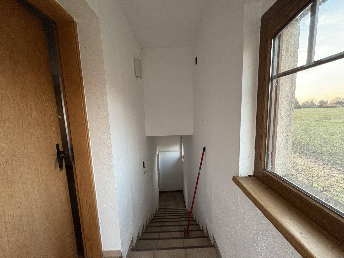 Treppenabgang mit gefliesten Stufen und einem Fenster, das Licht in den Flur bringt.