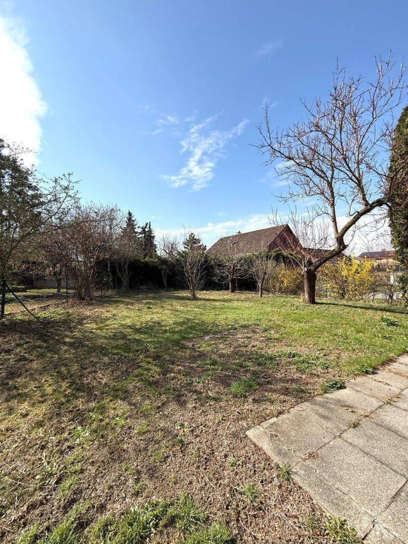 Großer, gepflegter Garten mit Rasenfläche und verschiedenen Bäumen unter blauem Himmel.