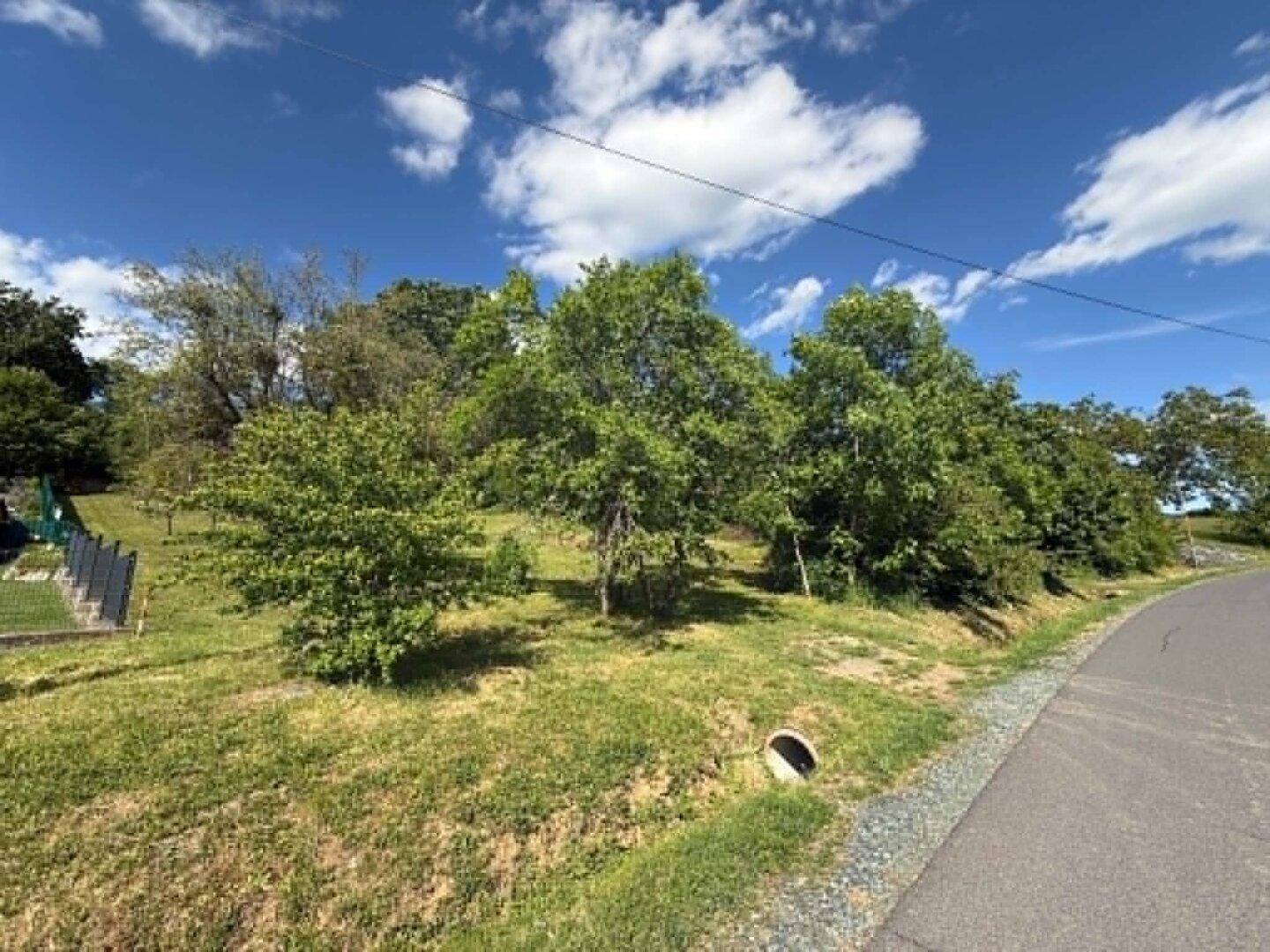 Hanglage des Grundstücks mit angrenzender Straße und natürlicher Vegetation.