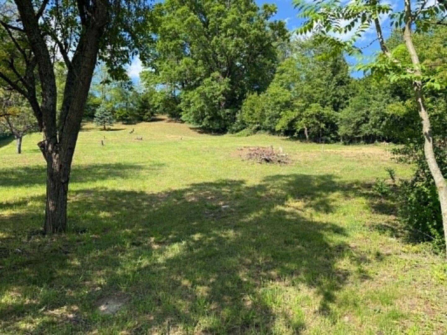 Offene Grünfläche mit Schatten spendenden Bäumen und einem weiten Blick in die Natur.