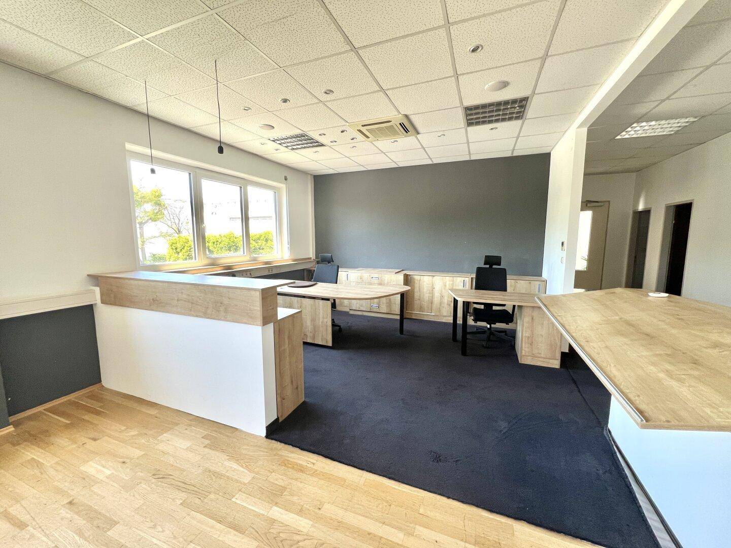 Moderner Bürobereich mit dunklem Teppichboden, Holzmöbeln und großen Fenstern für viel Tageslicht.