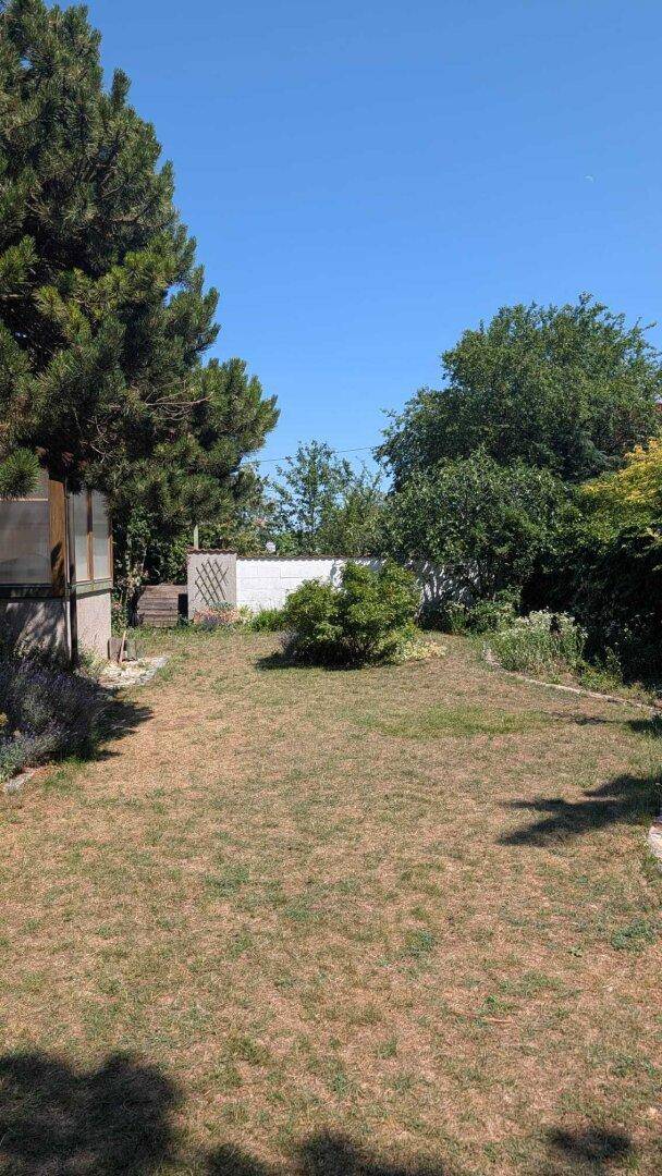 Ein sonniger Gartenbereich mit Rasenfläche und verschiedenen Bäumen und Sträuchern.