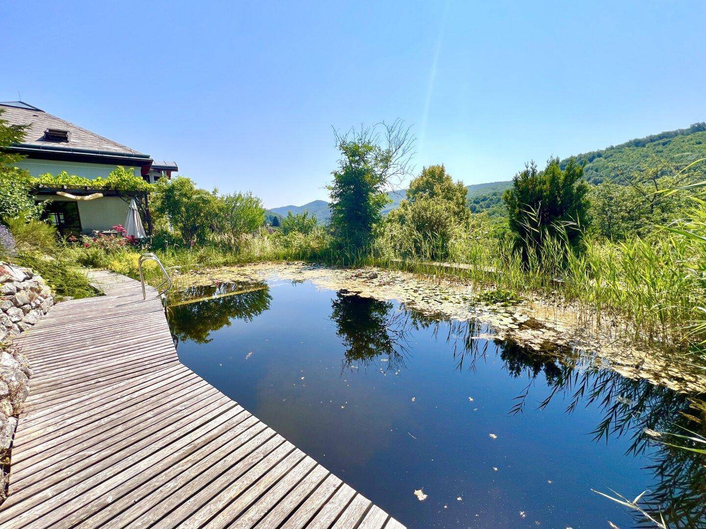 Idyllischer Schwimmteich mit Holzsteg und Blick auf die umliegende grüne Hügellandschaft.