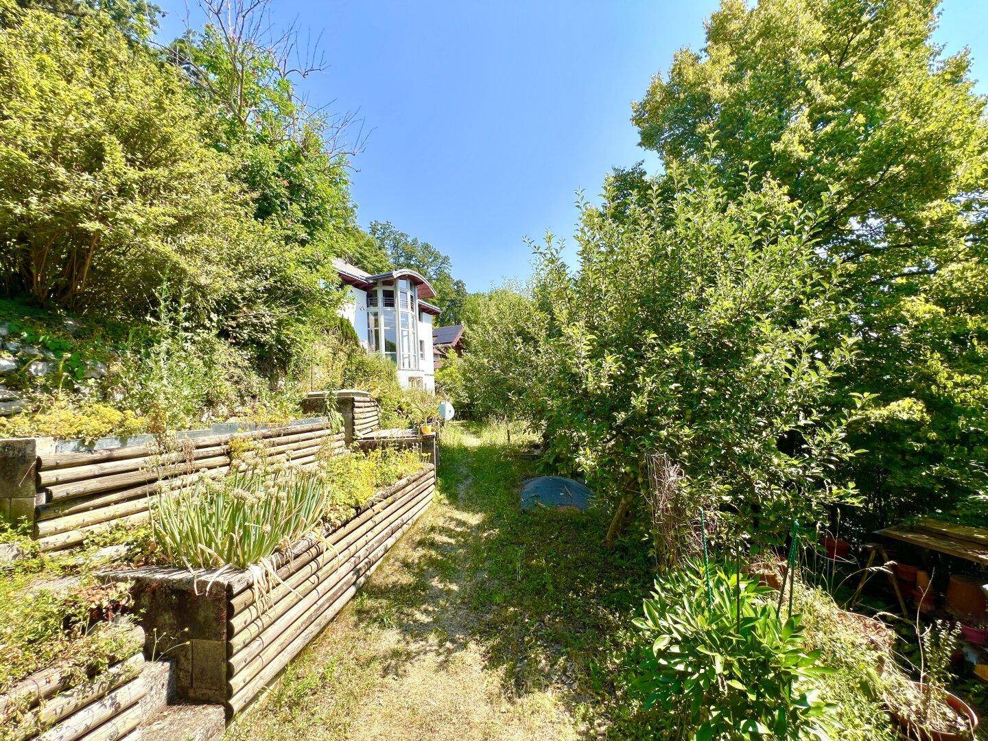 Grüner Gartenbereich mit terrassierten Beeten und Blick auf das Haus unter blauem Himmel.