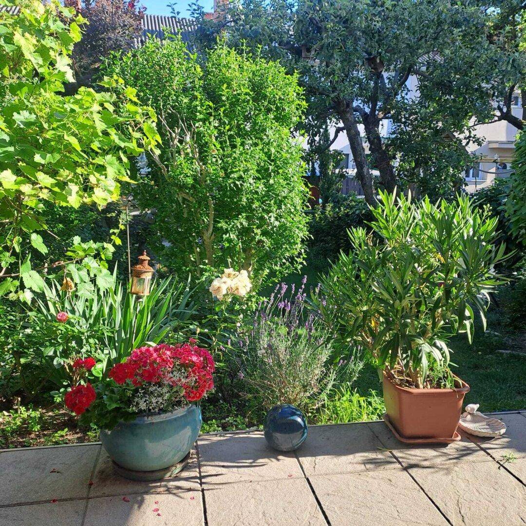 Üppiger Garten mit vielfältiger Bepflanzung, Blumenkübeln und gepflastertem Bereich.