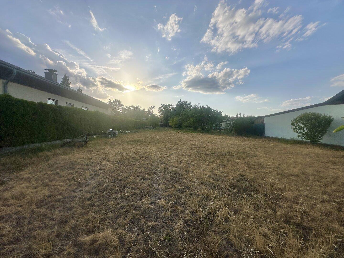 Weitläufiges, trockenes Grundstück mit Blick auf die umliegende Bebauung und Bäume im Abendlicht.