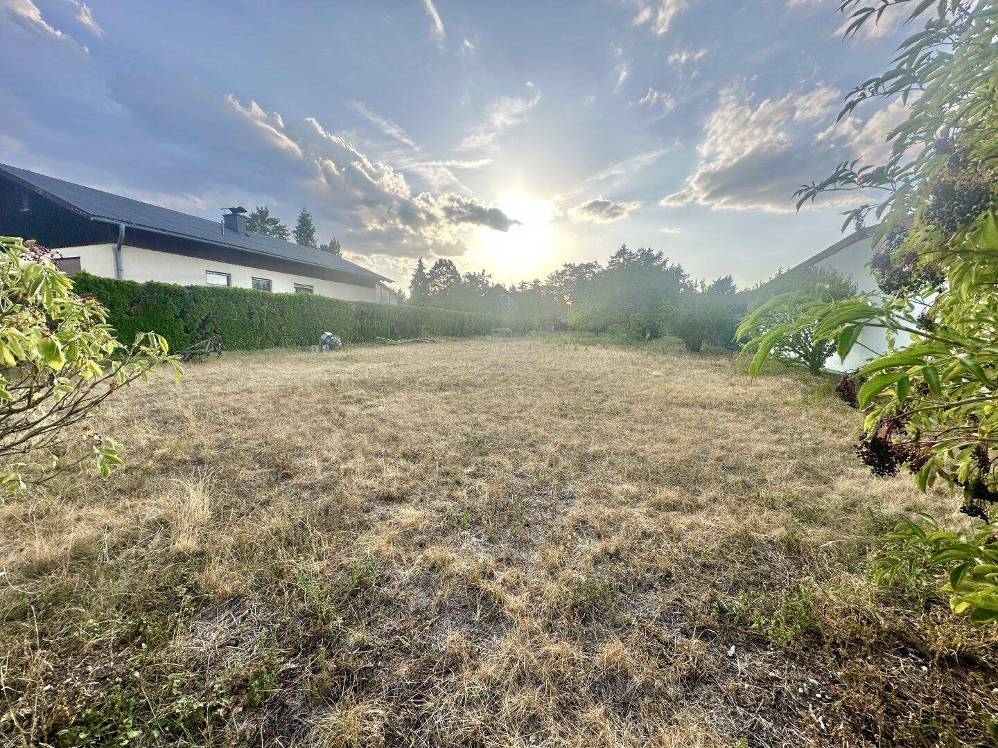Trockenes Wiesengrundstück bei Sonnenuntergang, umgeben von Bäumen und Häusern in ländlicher Umgebung.