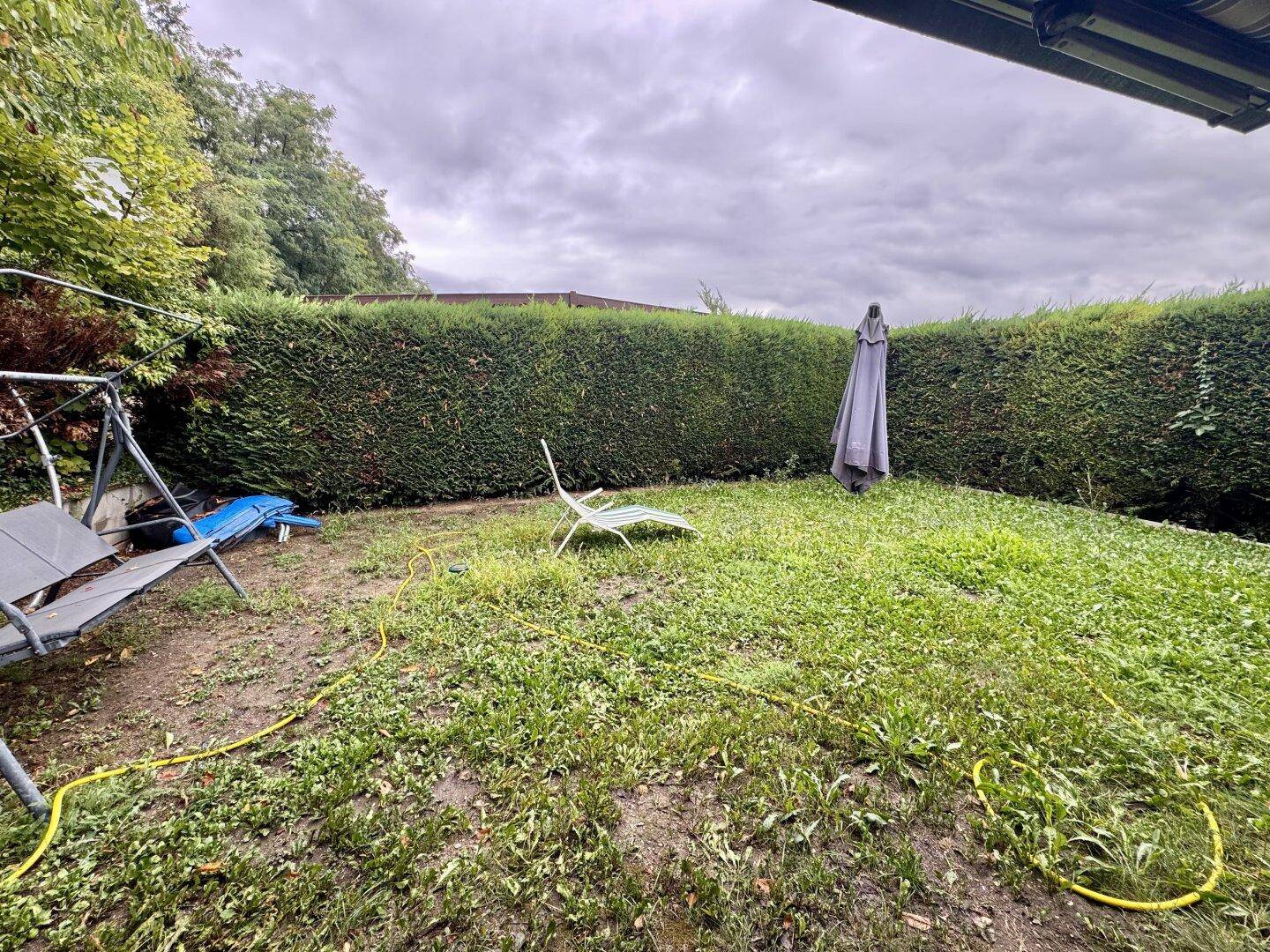 Gartenbereich mit Rasenfläche, hoher Hecke und Liegestuhl, perfekt zum Entspannen.