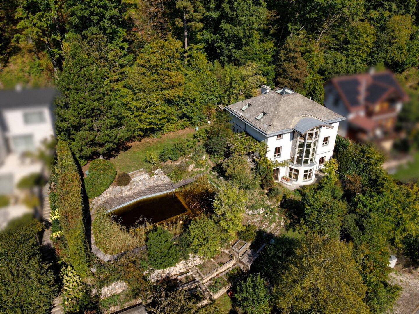 Luftaufnahme des Anwesens mit einem Teich im terrassierten Gartenbereich und umgebendem Wald.
