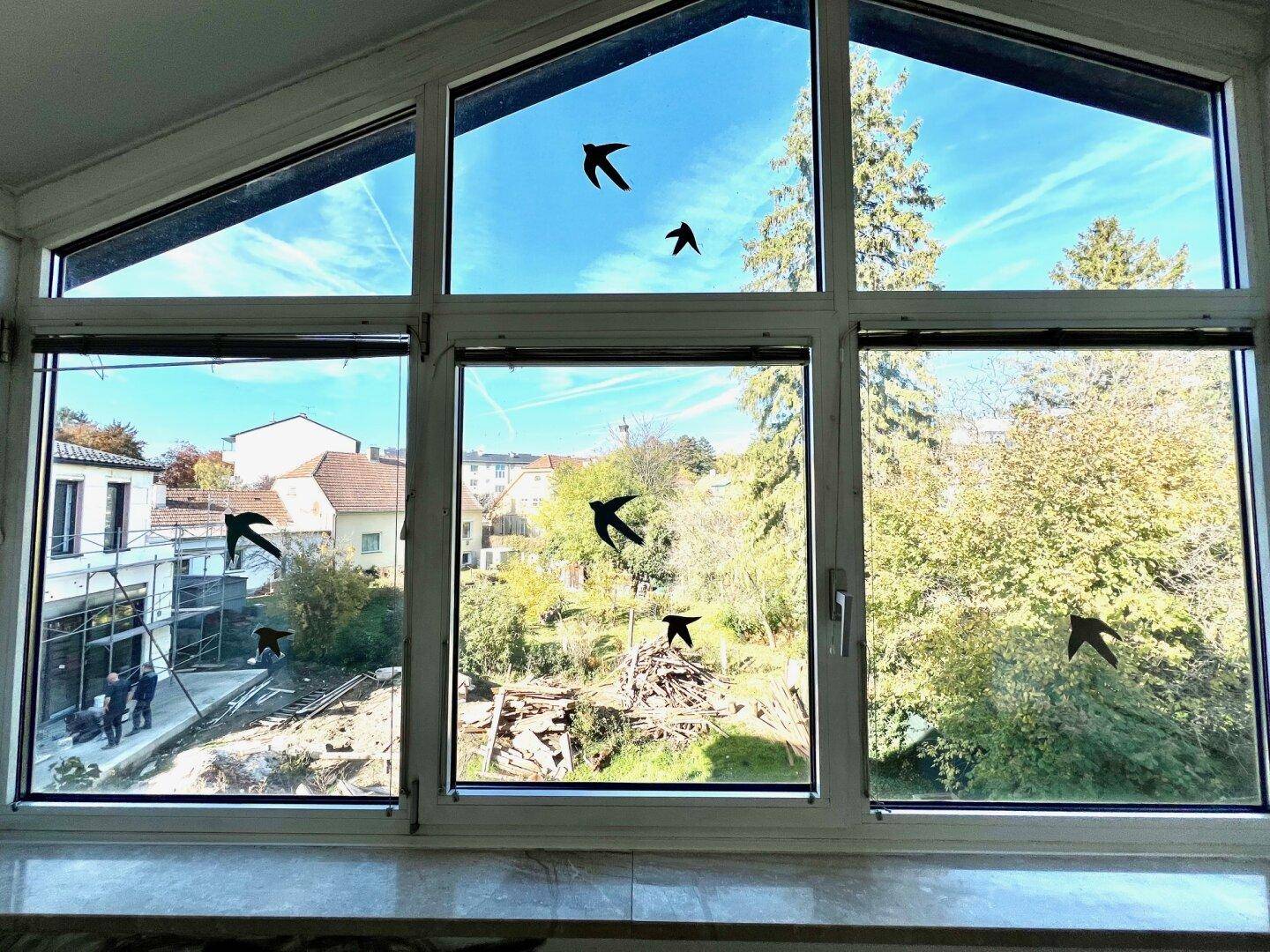 Große Fenster mit Blick auf die Umgebung und eine Baustelle im Freien.