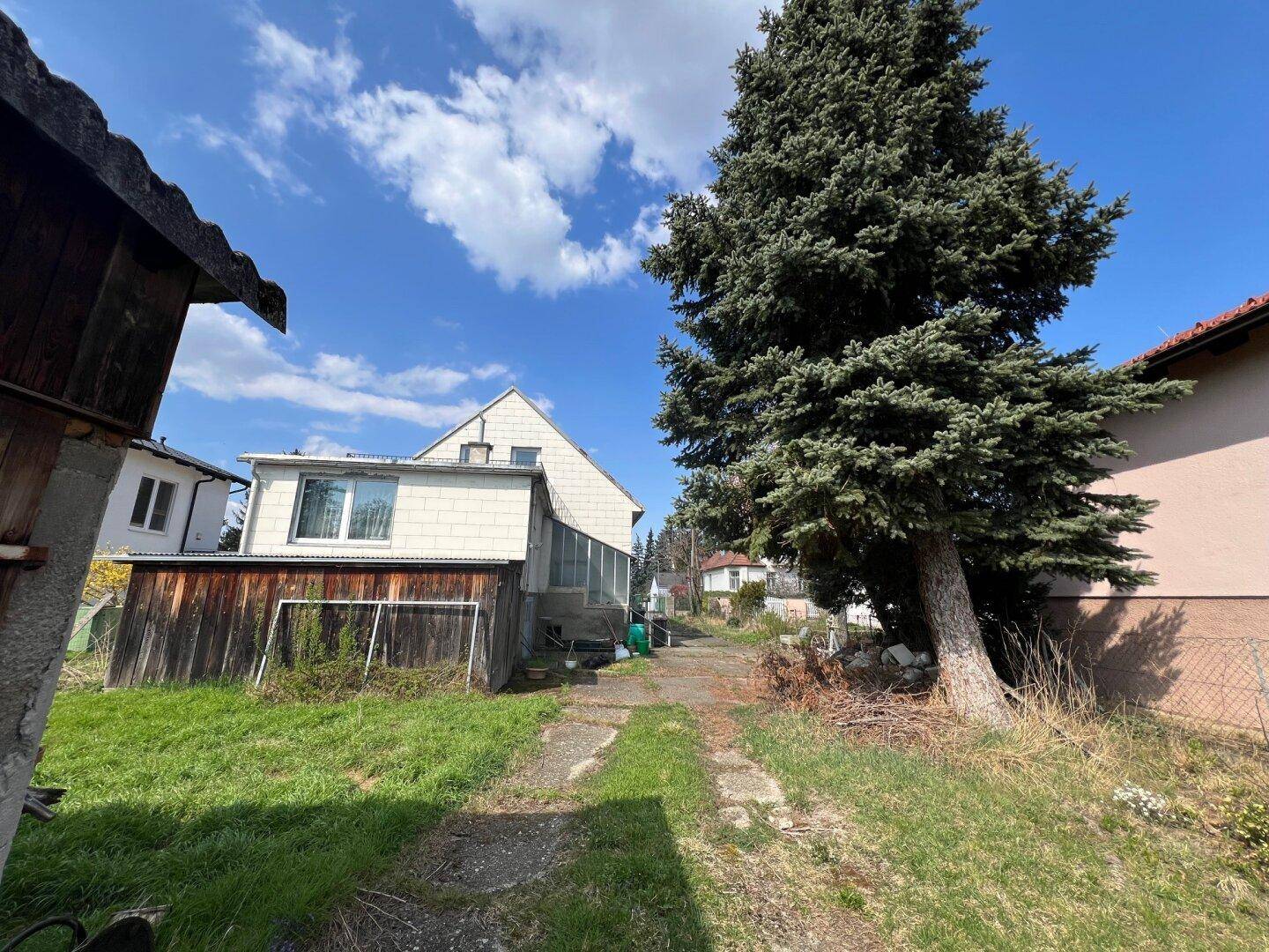 Unbefestigter Weg neben einem großen Nadelbaum führt zum hinteren Bereich des Hauses mit Anbau.