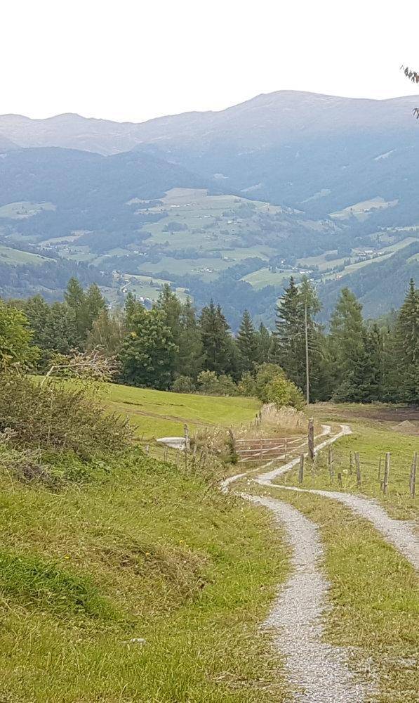 Idyllischer Berghof in bester Lage im Murtal - Ansicht 5