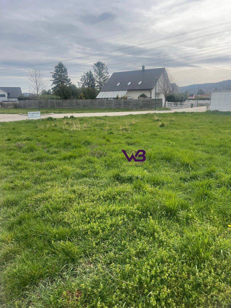 Weitläufiges, grünes Grundstück mit Blick auf die Nachbarschaft und Stromleitungen unter bewölktem Himmel.