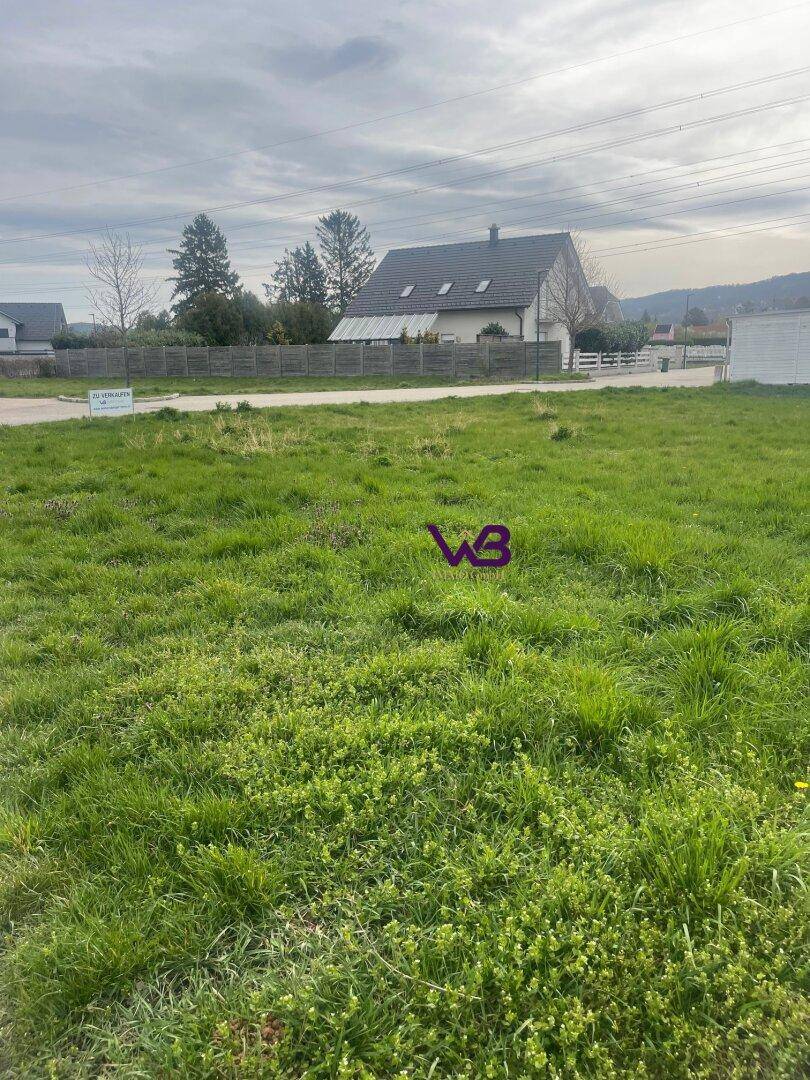 Großes, grünes Grundstück mit weitem Blick auf die umliegende Wohnbebauung und Stromleitungen am Horizont.