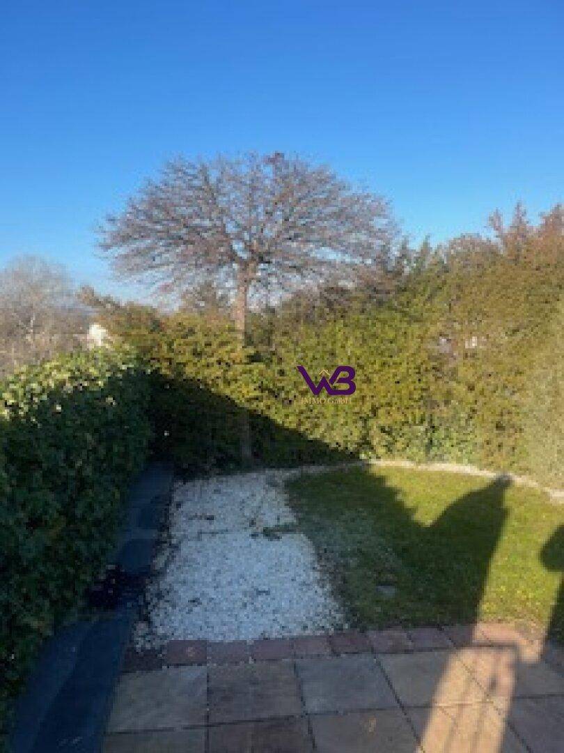 Kleiner Gartenbereich mit Rasenfläche, Hecke und einem Kiesweg unter einem großen Baum.