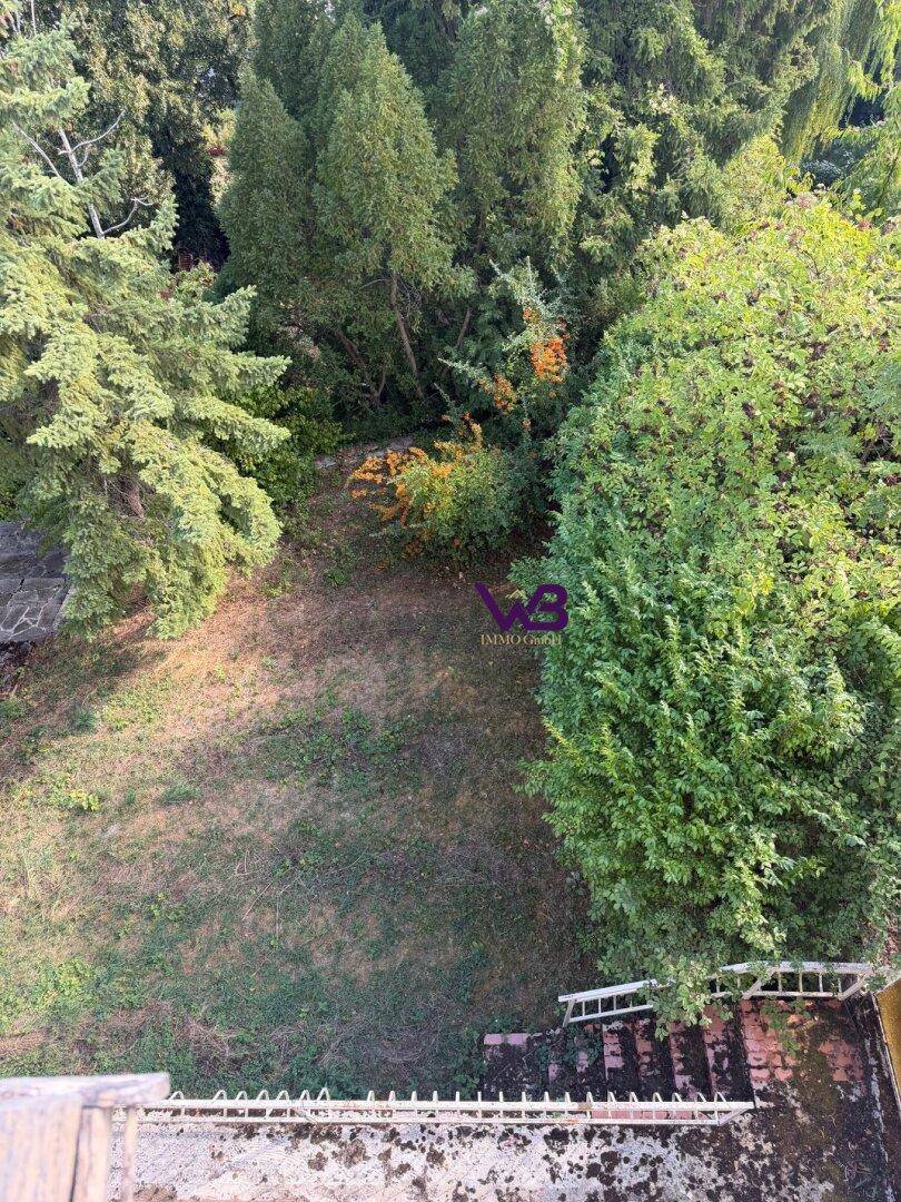 Blick von oben auf einen naturbelassenen Gartenbereich mit Bäumen und Sträuchern.