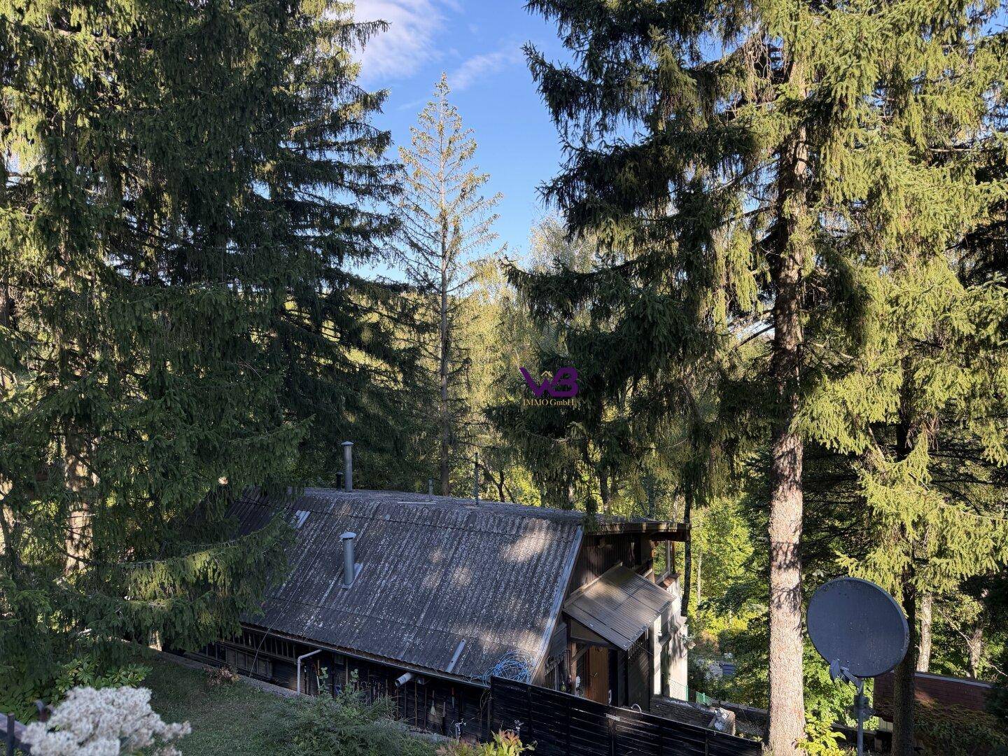 Blick von oben auf das Haus mit bewaldeter Umgebung und Satellitenschüssel auf dem Dach.