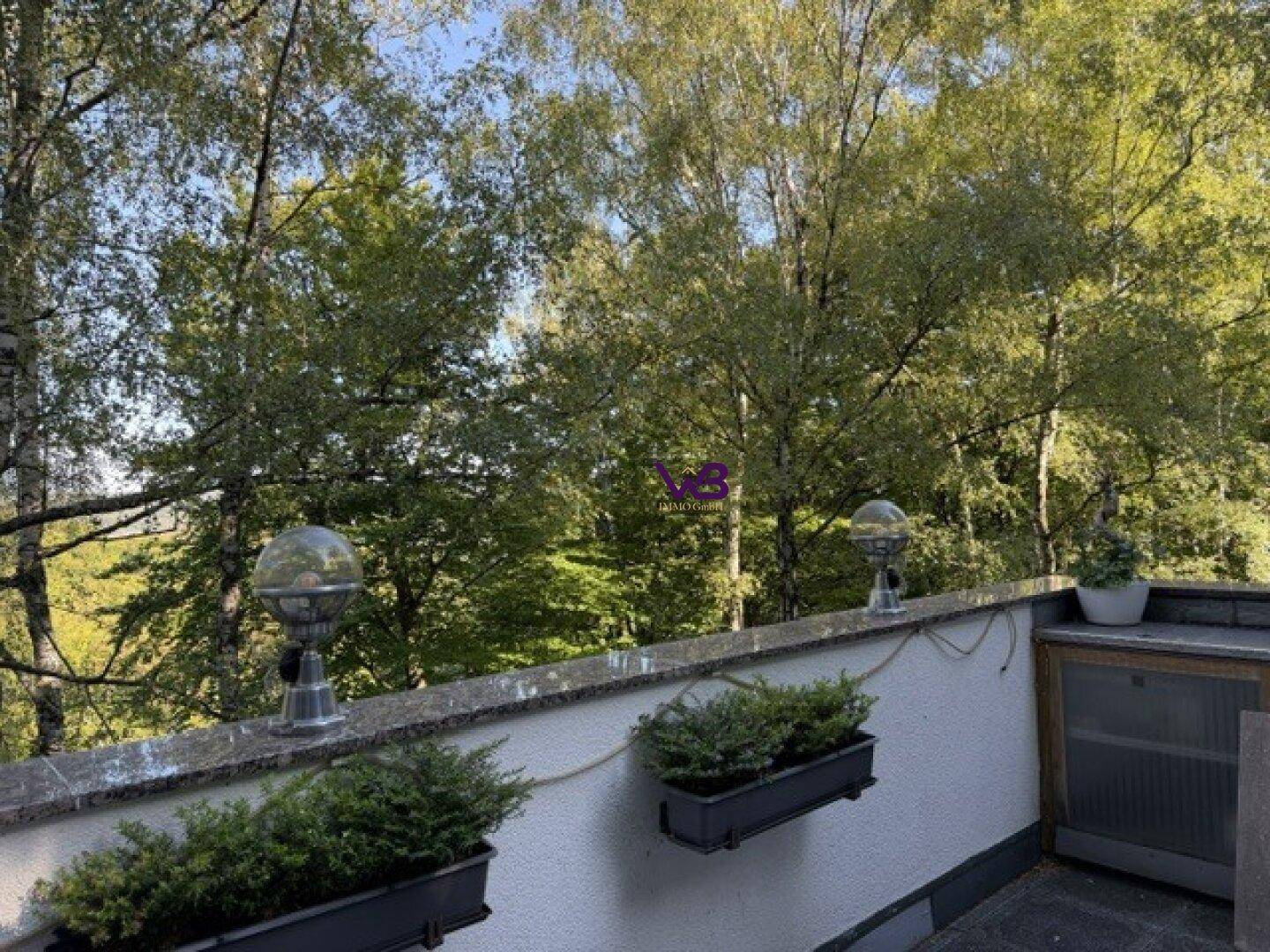 Sonniger Terrassenbereich mit Pflanzenkübeln und Blick auf die umliegenden Bäume.