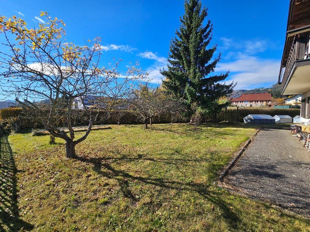 Weitläufiger Garten mit altem Baumbestand und sonniger Rasenfläche, perfekt für Outdoor-Aktivitäten.