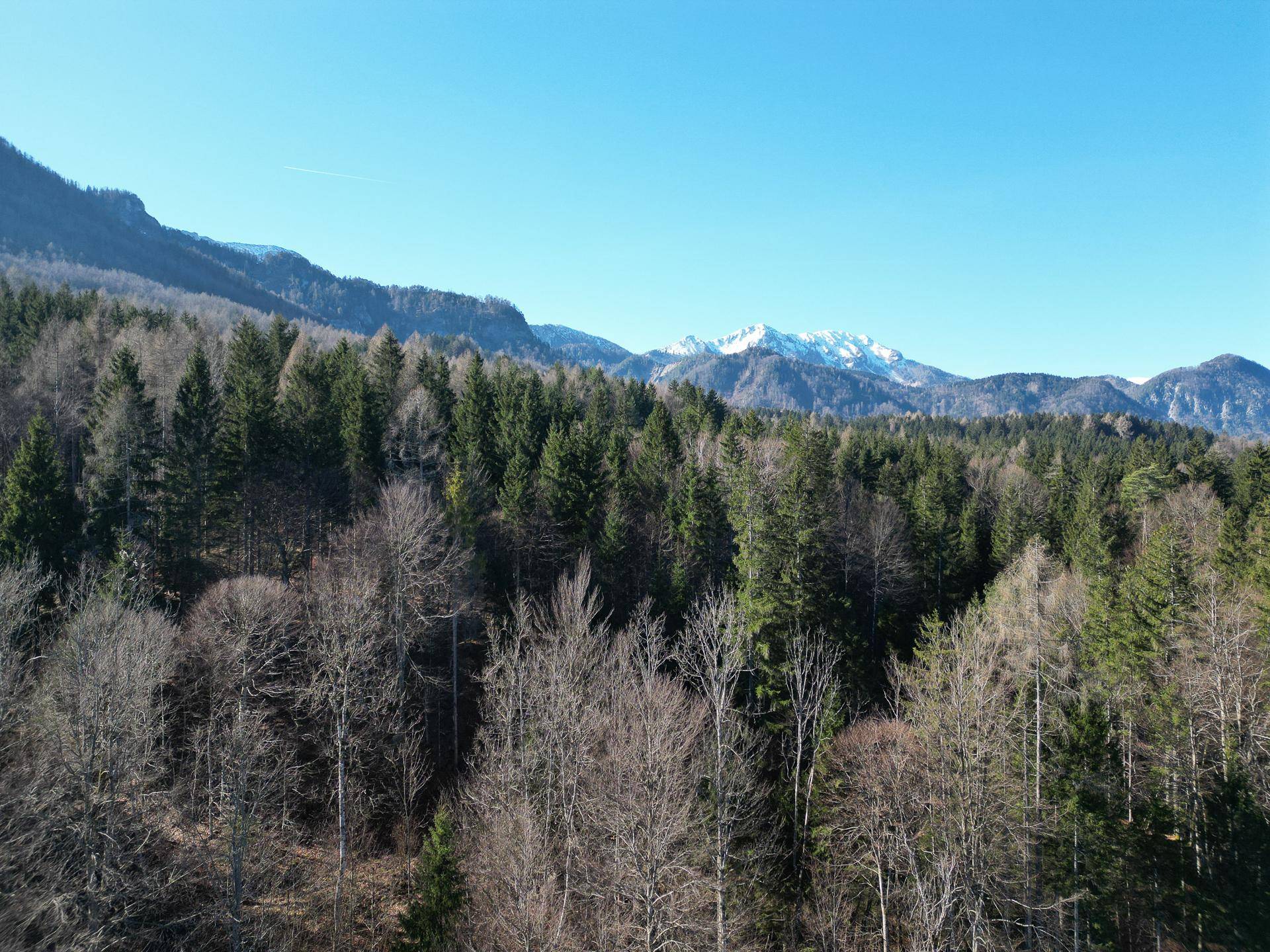 dji_fly_20240216_111656_642_1708353557519_photo