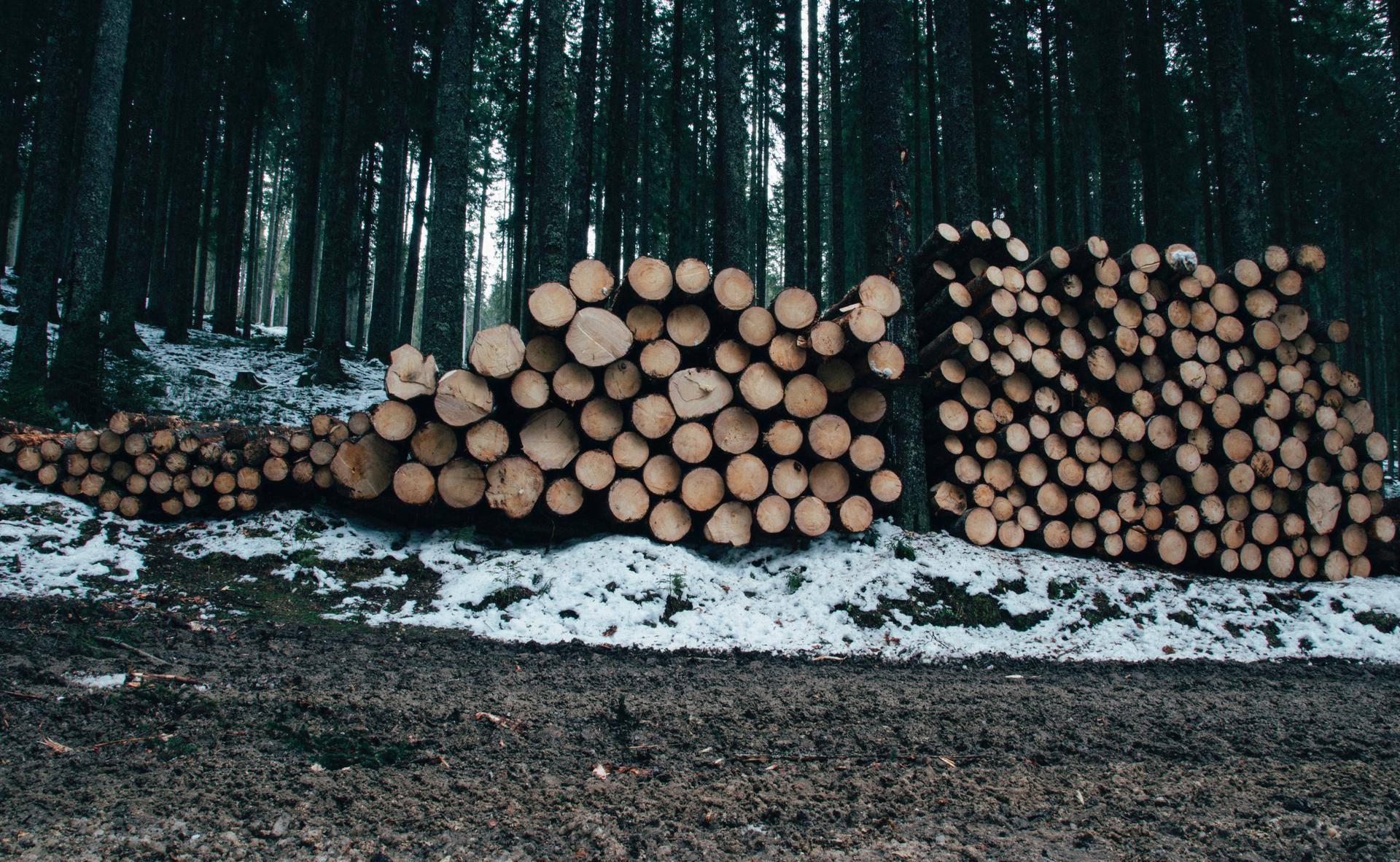 ales-krivec-Bb4C0IwSoW4-unsplash