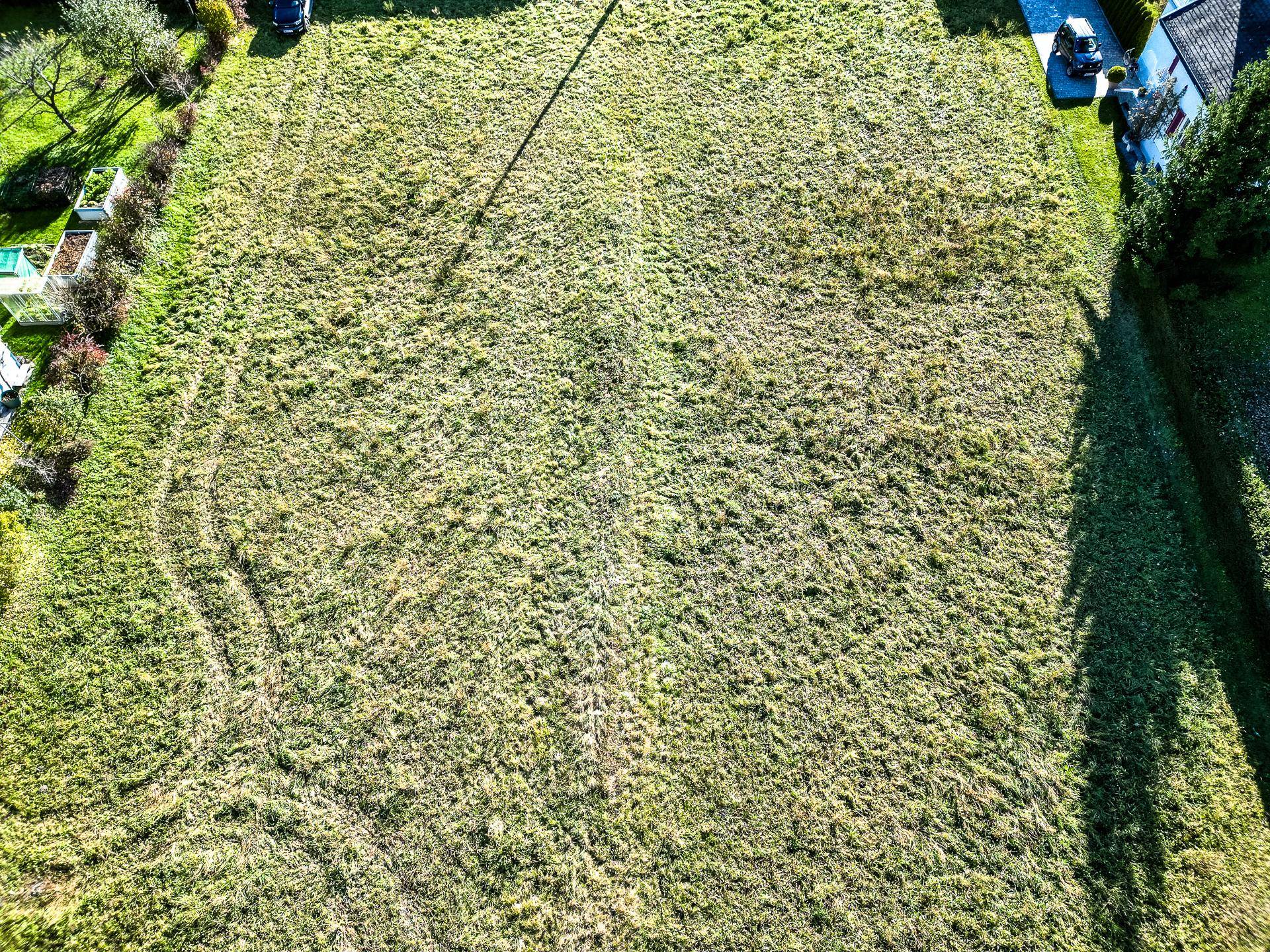 dji_fly_20231113_132700_354_1700817667698_photo