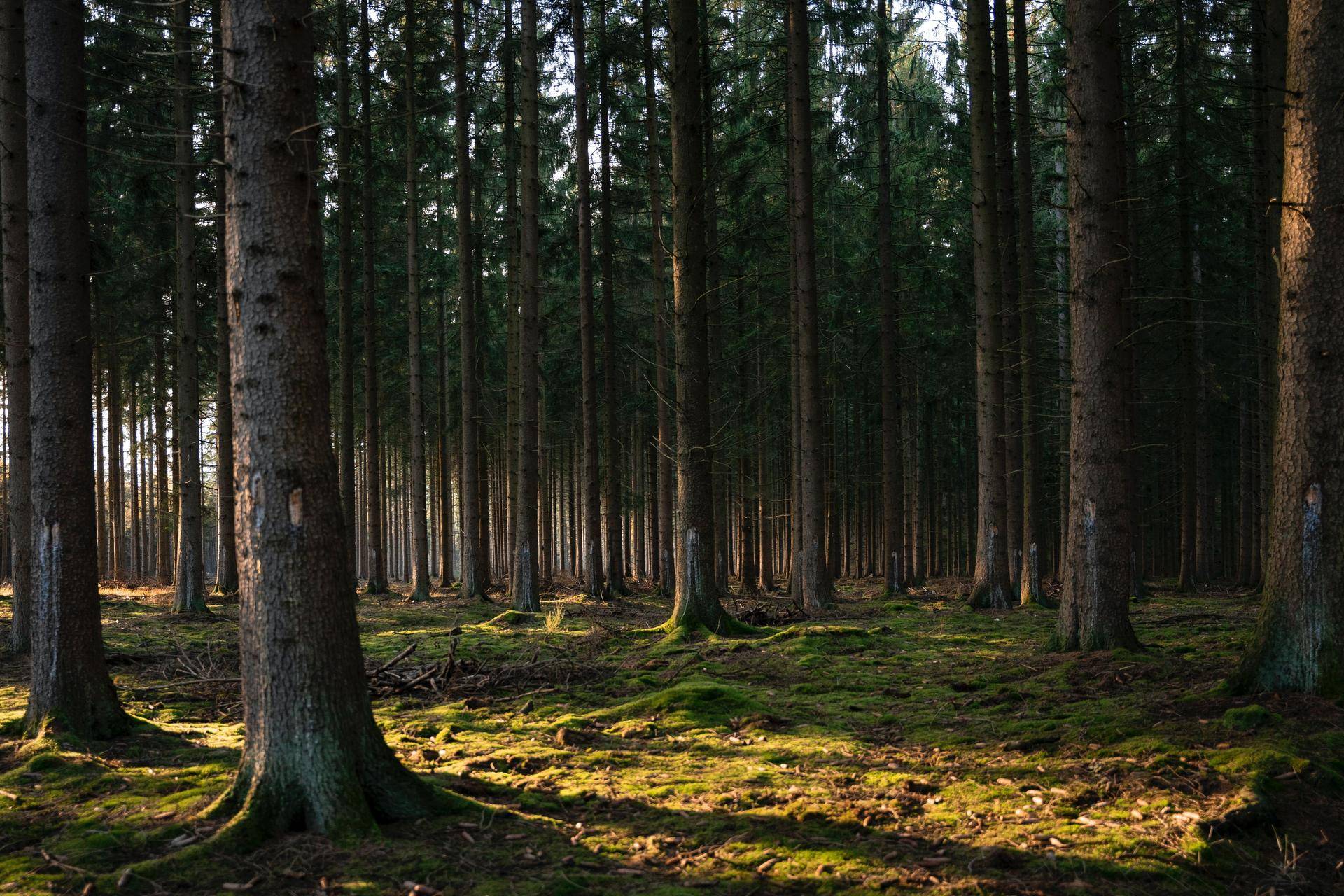 kat-closon-hZX4tYgljUI-unsplash
