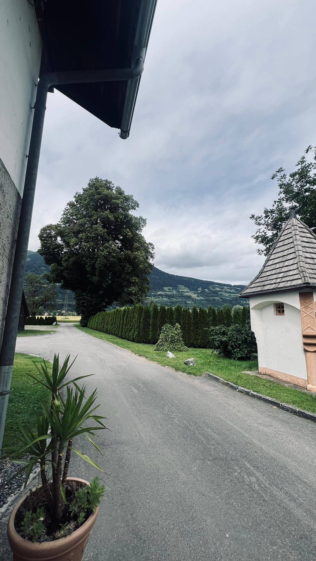 Ländliche Straße mit grüner Hecke und majestätischen Bergen im Hintergrund unter bewölktem Himmel.
