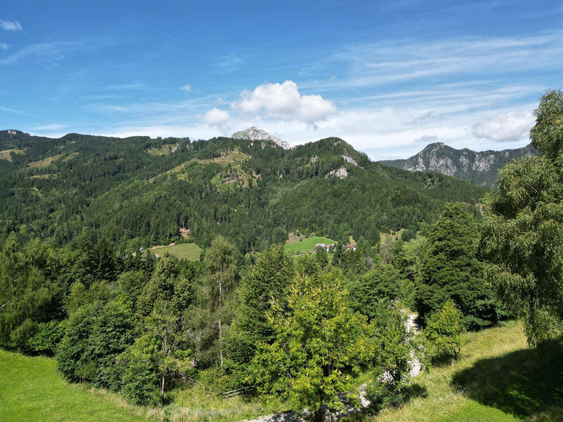 dji_fly_20250805_114850_931_1754315930074_photo