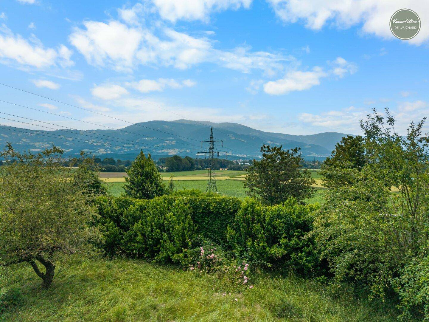 Ausblick