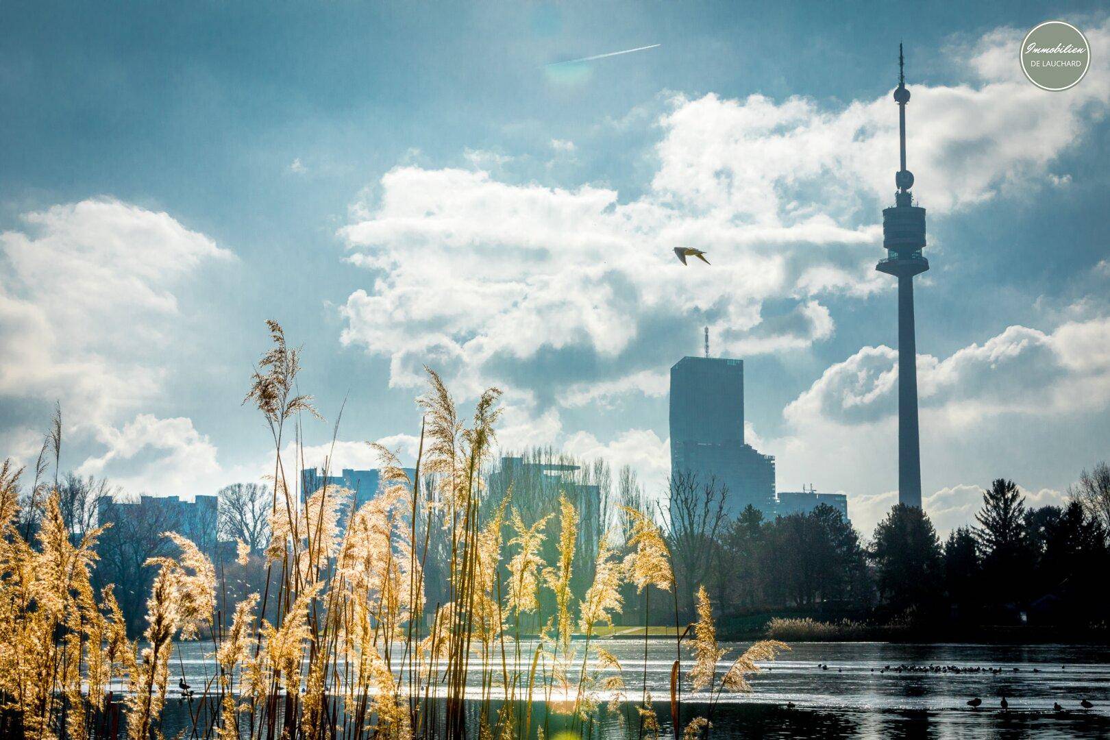 Umgebung Alte Donau