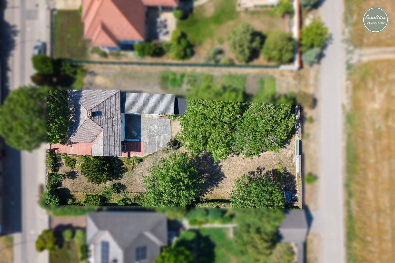 Senkrechte Luftaufnahme des Grundstücks mit Haus, Bäumen und angrenzenden Feldern.