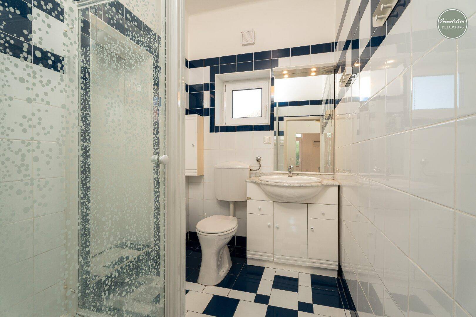 Badezimmer mit Duschkabine, WC und Waschbecken, dekoriert mit blauen und weißen Fliesen.