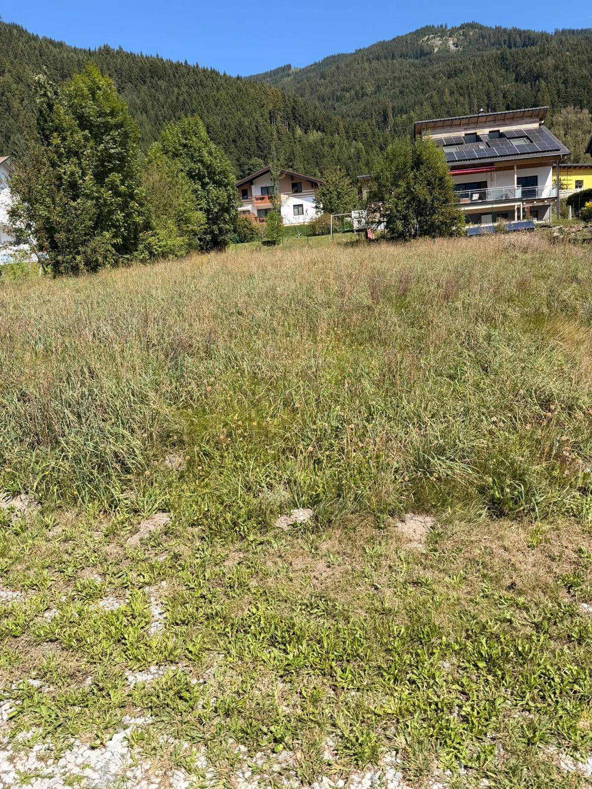 Sonniges Grundstück mit hohem Gras und Häusern im Hintergrund vor einer Bergkulisse.