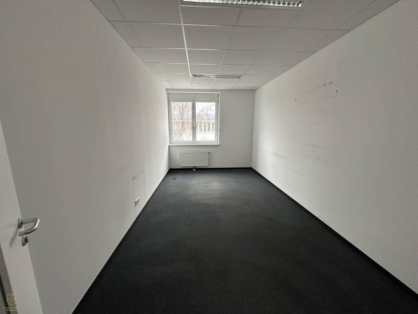 Leerer Büroraum mit dunklem Teppichboden, weißen Wänden und einem Fenster, das Tageslicht hereinlässt.