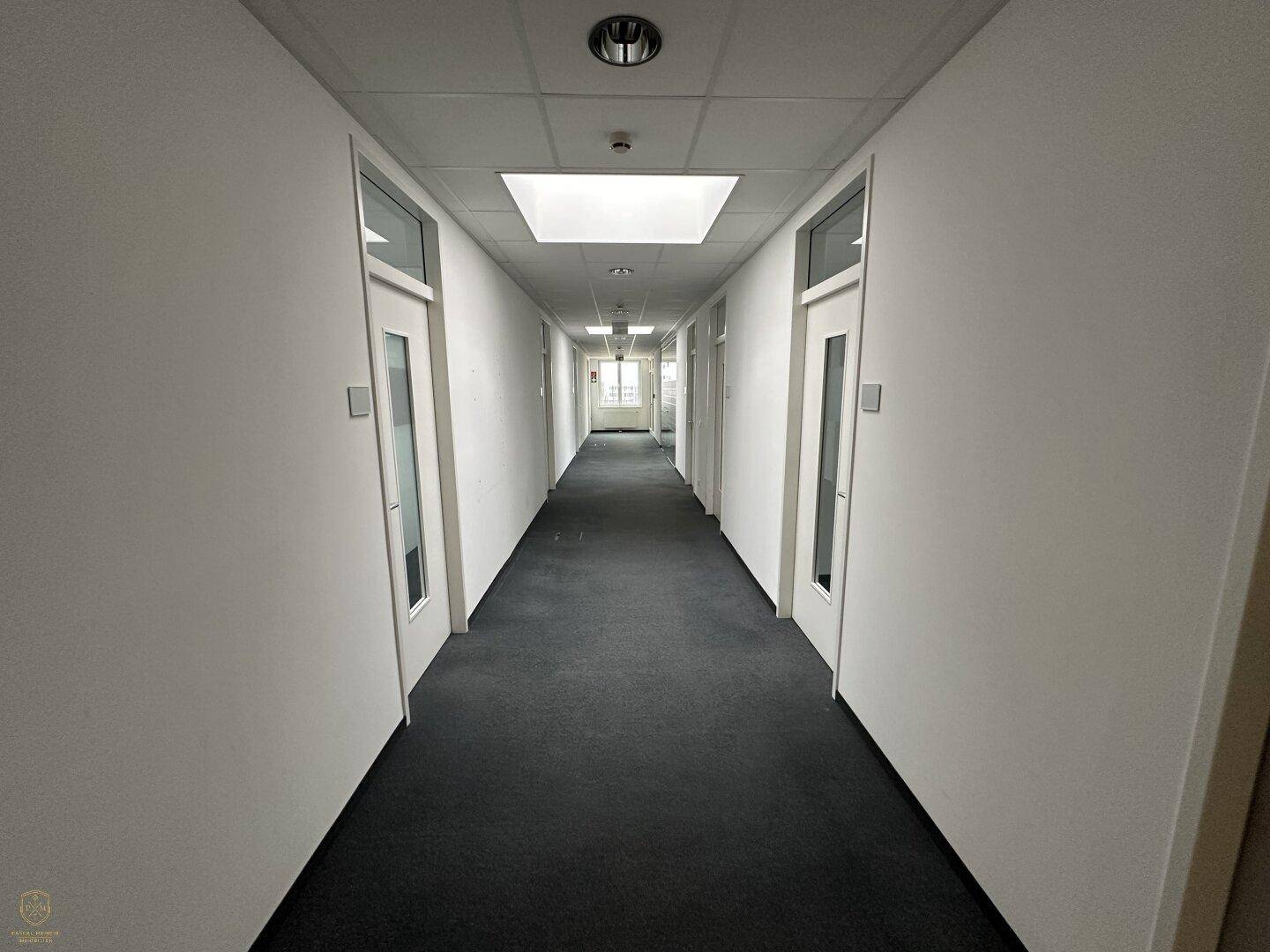Langer, sauberer Flur mit Teppichboden, weißen Wänden und mehreren Türen, die zu Büroräumen führen.