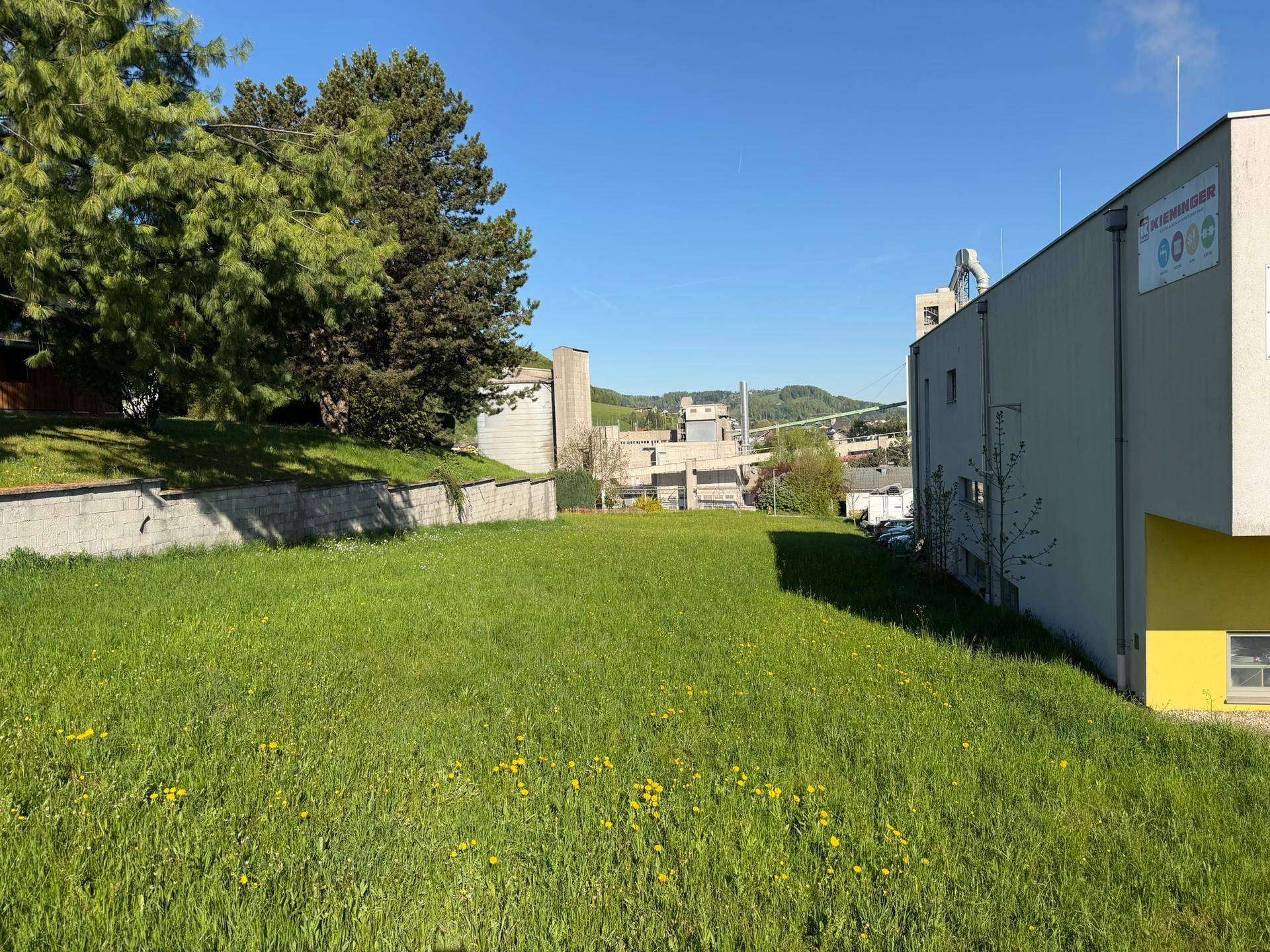 Ein sonniges, grünes Grundstück neben einem modernen Gewerbegebäude mit Bäumen im Hintergrund.