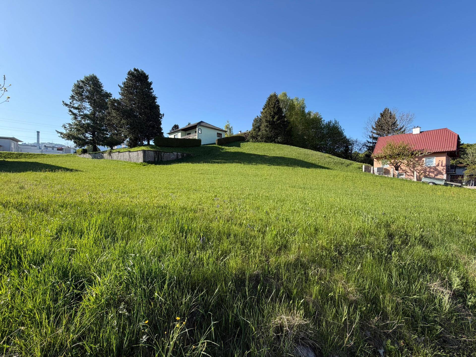 Ein sonniges, grünes Grundstück auf einem Hügel mit Wohnhäusern im Hintergrund unter blauem Himmel.