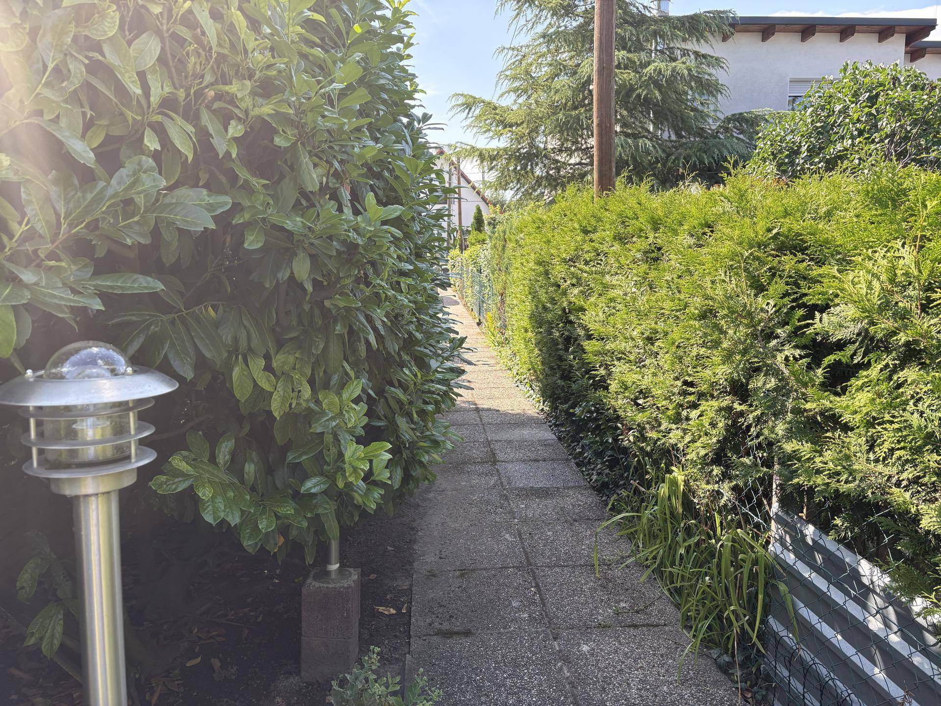 Schmaler Gartenweg zwischen hohen, grünen Hecken unter strahlend blauem Himmel.