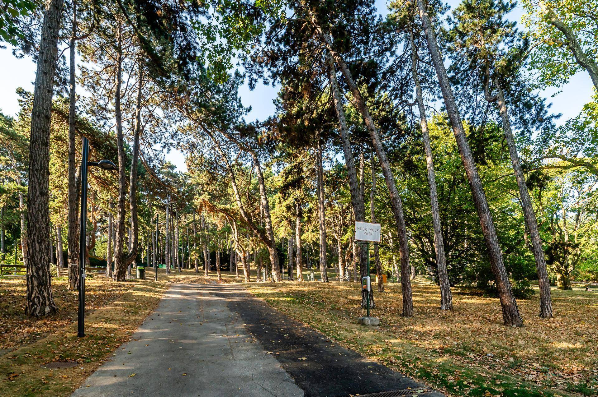 Malerischer Parkweg umgeben von hohen Bäumen und viel Grün.