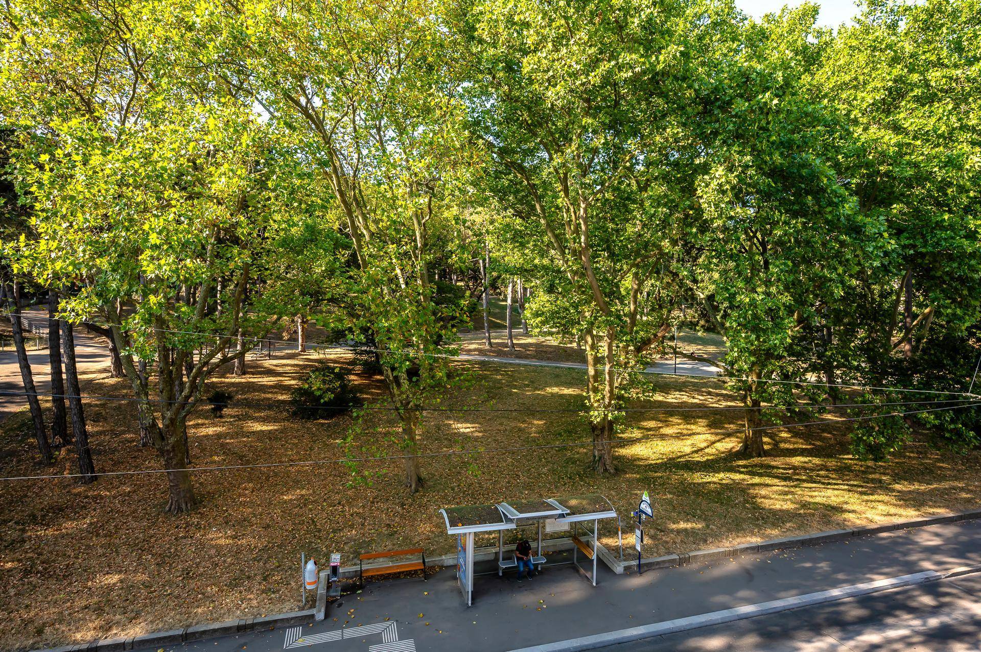 Blick von oben auf eine von Bäumen gesäumte Straße mit Bushaltestelle und Park.