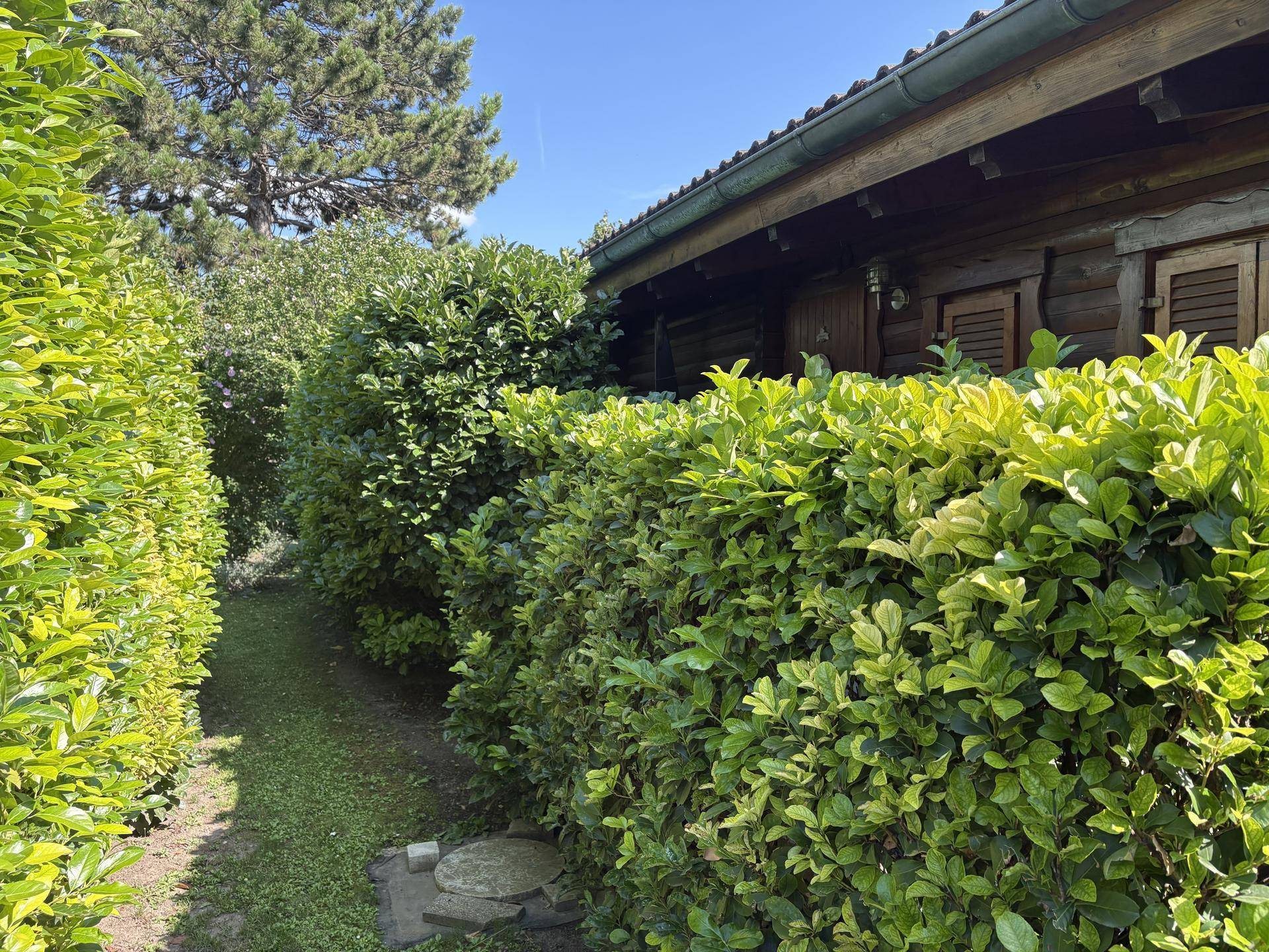 Gepflegter Gartenweg führt entlang einer dichten Hecke zum Holzhaus im Hintergrund.