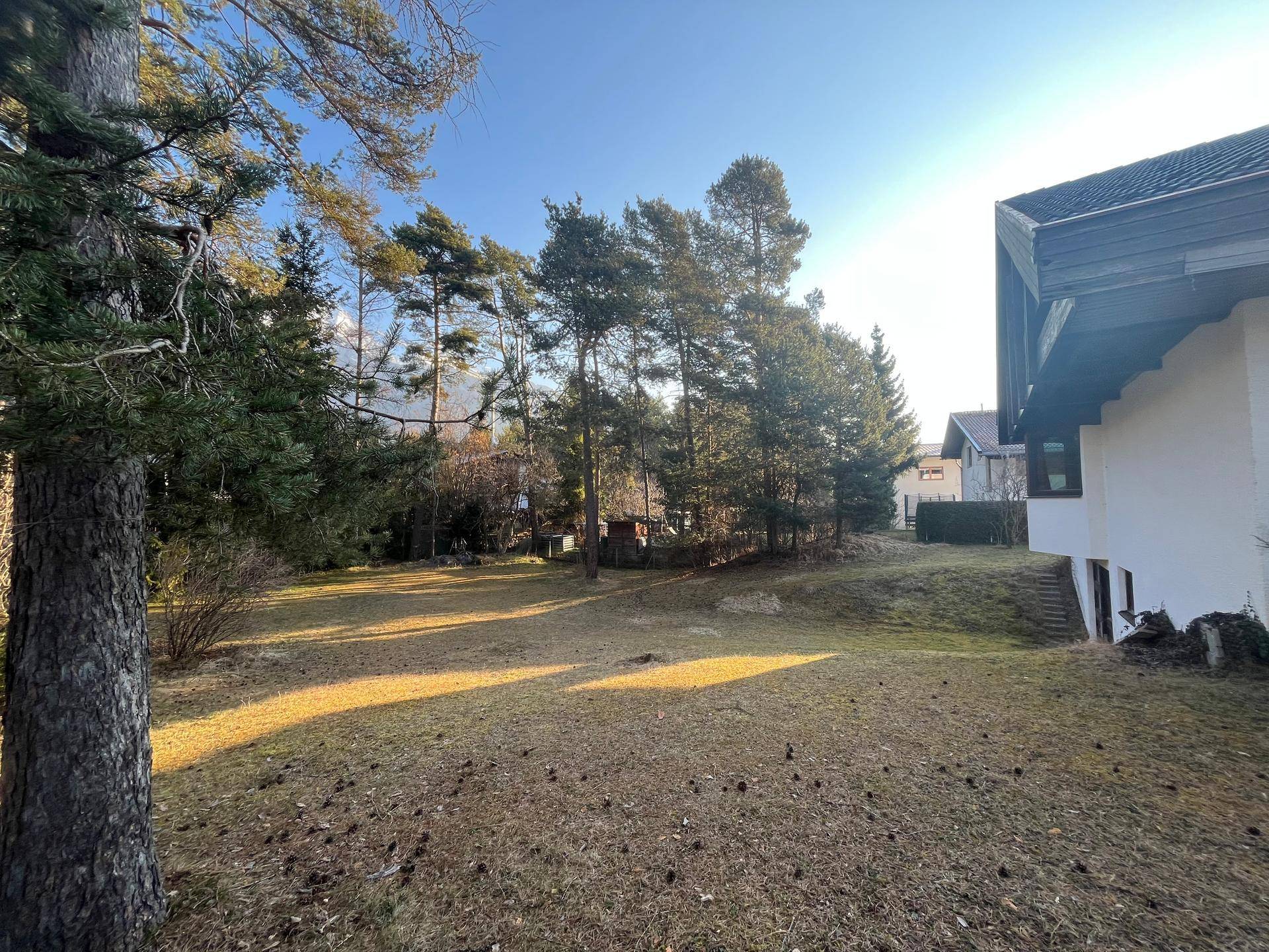Weitläufiger Gartenbereich mit gepflegtem Rasen und hohen Nadelbäumen neben dem Haus.