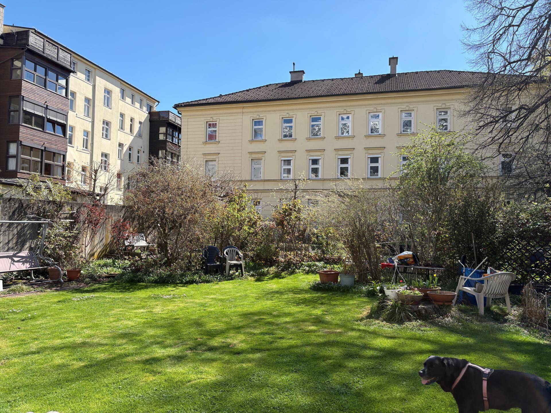 Großer, sonniger Gartenbereich mit Rasenfläche und Blick auf umliegende Wohngebäude.