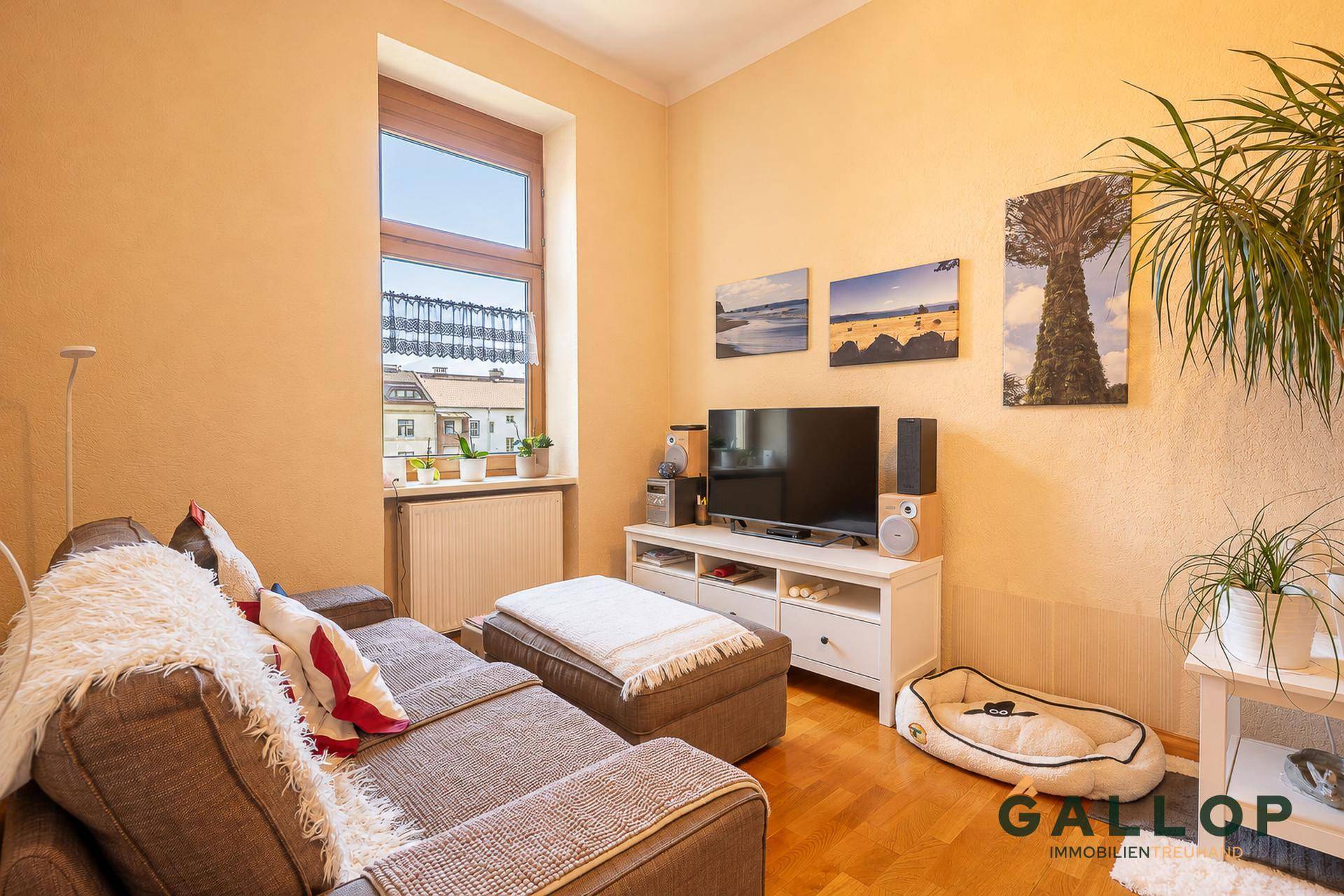 Gemütliches Wohnzimmer mit Sofa, Fernseher und großem Fenster, das viel Tageslicht hereinlässt.