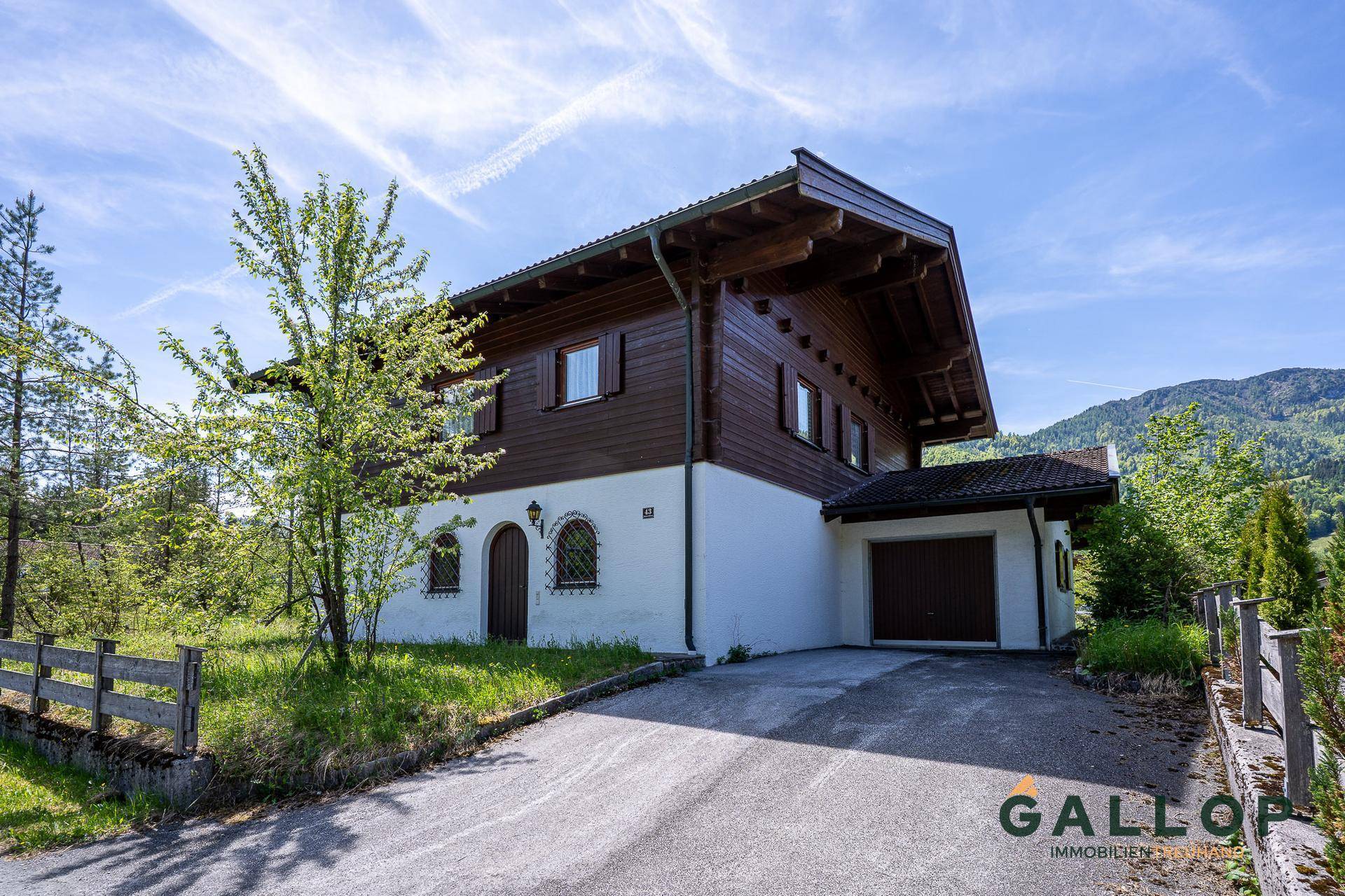 Seitenansicht des Hauses mit Zufahrt zur integrierten Garage und alpiner Architektur.